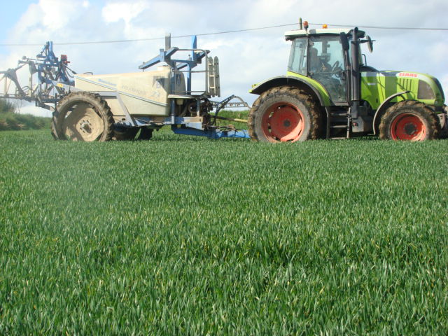 traitement de blé 2009 (12).JPG